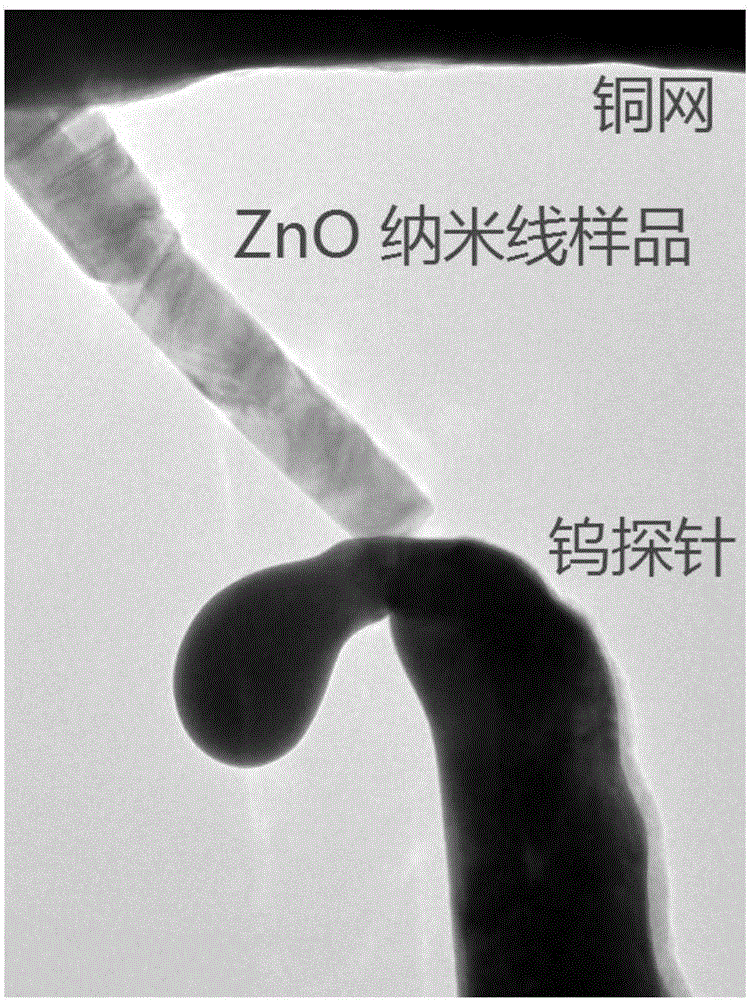 基于原位透射電子顯微鏡的納米材料交流電學性能測試裝置及方法與流程