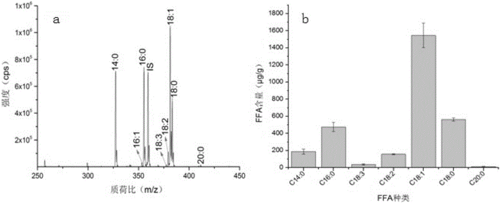 一种基于衍生化技术的食用油中游离脂肪酸的质谱分析方法与流程