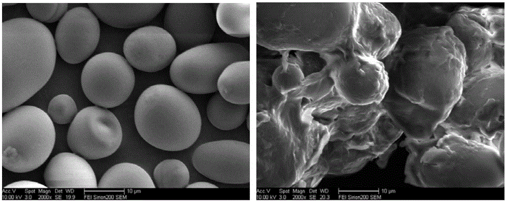 基于薯类淀粉的3D打印材料的制备方法与流程