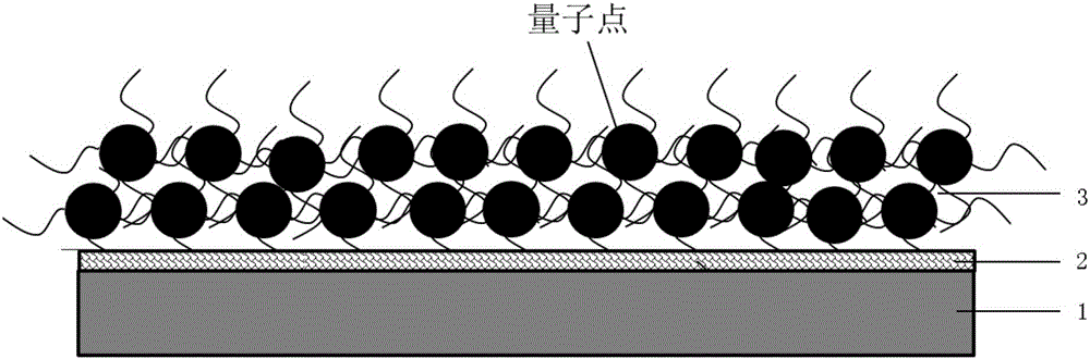 一種量子點(diǎn)彩膜及其制備方法與流程