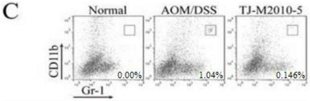 氨基噻唑类MyD88特异性抑制剂TJM2010-5的应用的制作方法与工艺