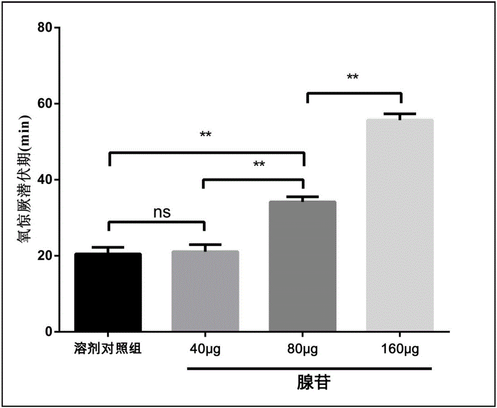 联合腺苷及nNOS抑制剂在制备预防中枢神经系统氧中毒药物或食品中的应用的制作方法与工艺