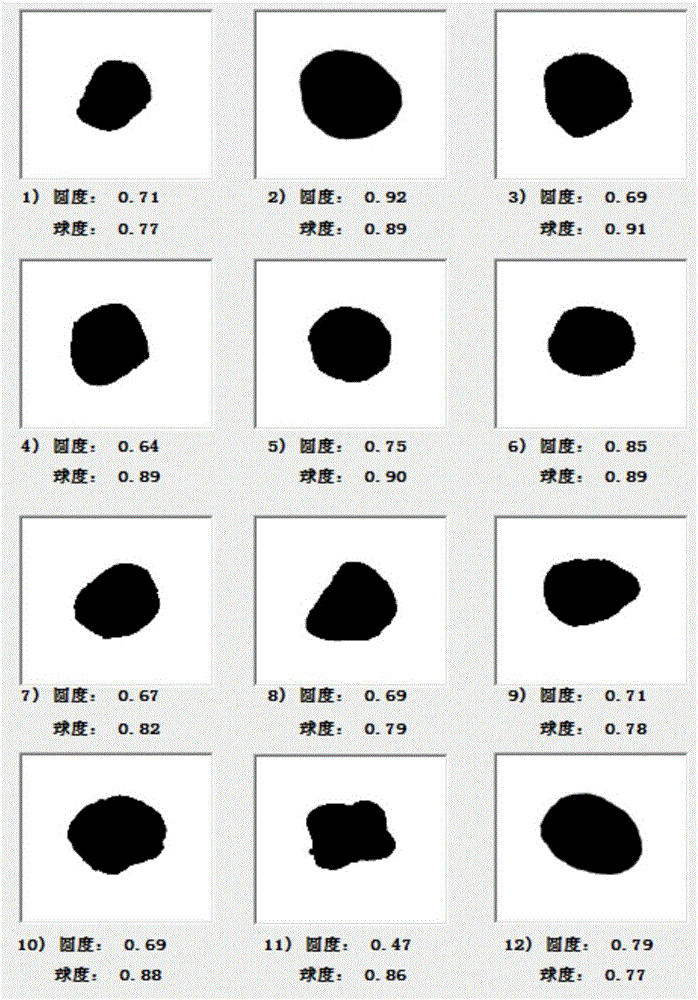 一種測試壓裂支撐劑圓球度的方法與流程