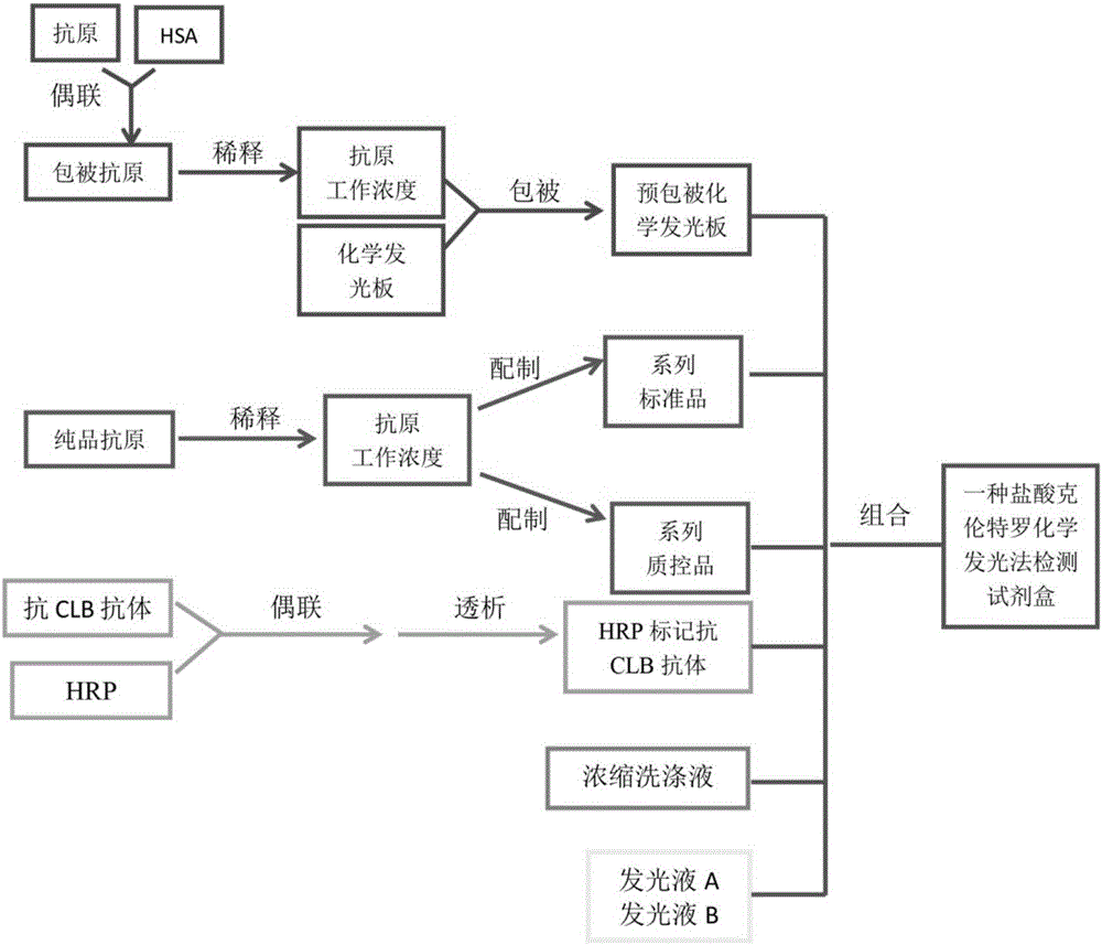 一种盐酸克伦特罗化学发光法定量测定试剂盒的制作方法与工艺