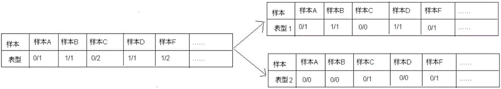 一種全基因組變異數(shù)據(jù)的注釋方法和注釋系統(tǒng)與流程