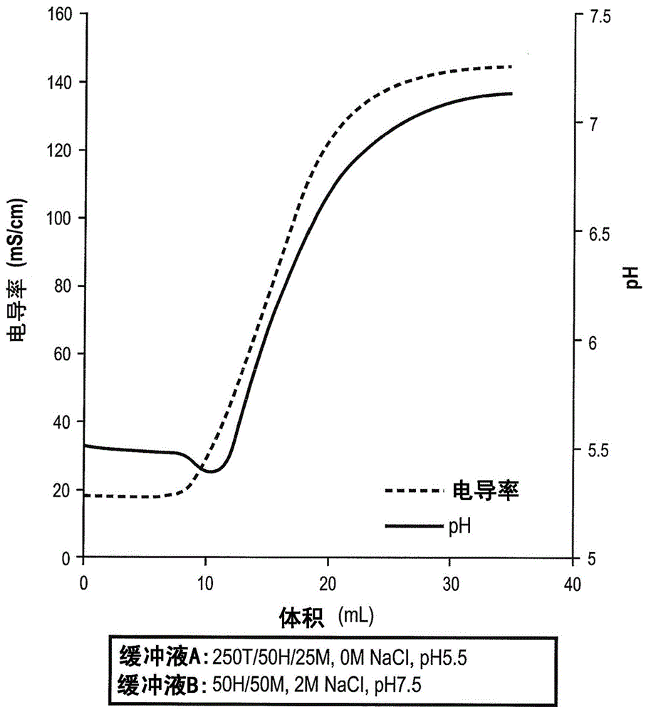 减少离子交换色谱中的pH漂移的制作方法与工艺