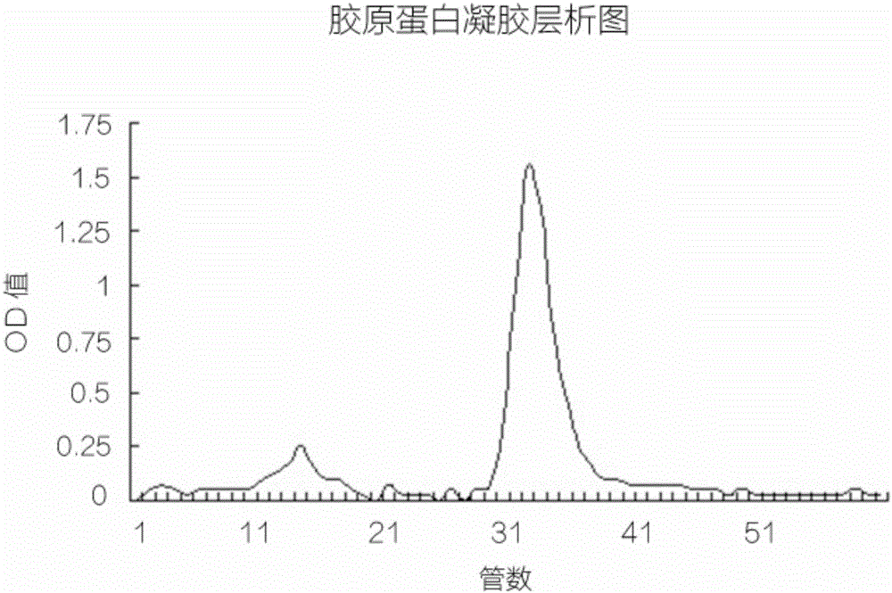 一种具有生物活性的高纯度胶原蛋白海绵及其制备方法与流程