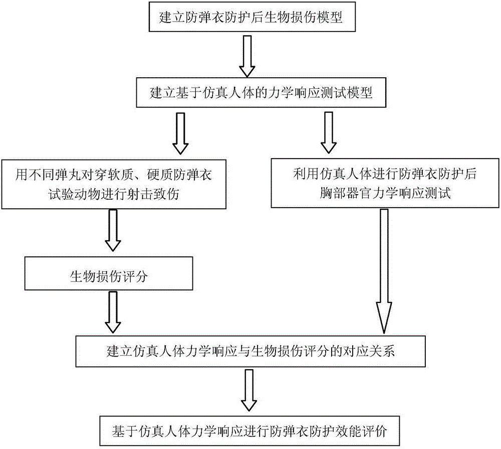 防弹衣防护效能评价方法与流程