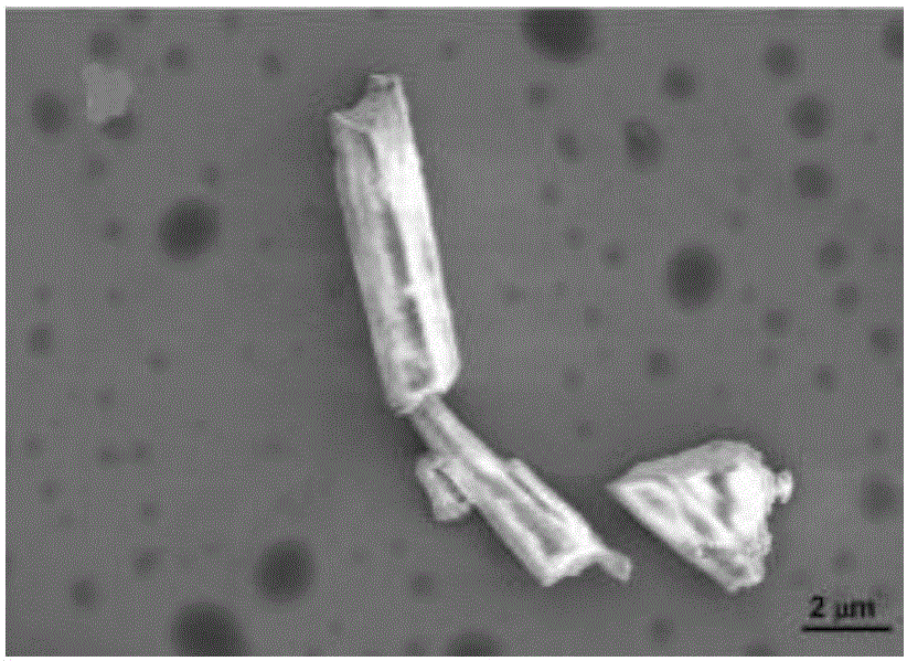 一种载银贝壳粉抗菌剂的制备方法与流程