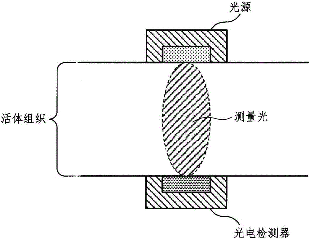 测量装置、测量方法、程序和记录媒介与流程