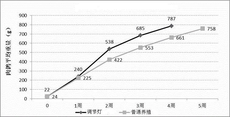 禽類生長調節(jié)燈的制作方法與工藝