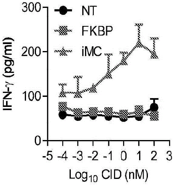 用诱导型嵌合多肽活化T细胞的方法与流程
