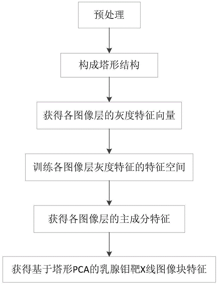 基于塔形PCA的乳腺鉬靶X線圖像塊特征提取方法與流程