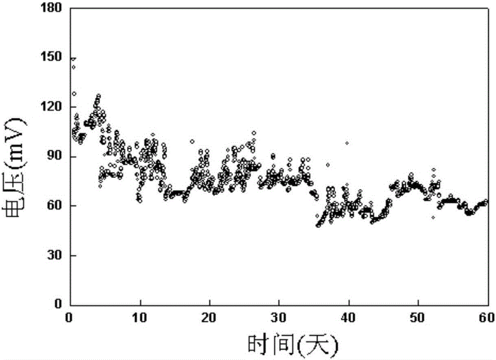 一种受污染水体原位修复的微生物氧化还原装置及修复方法与流程