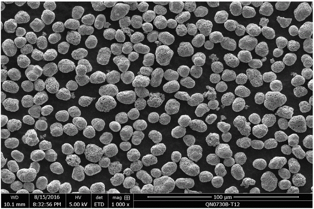 一種球形高純度鎳粉的制備方法與流程