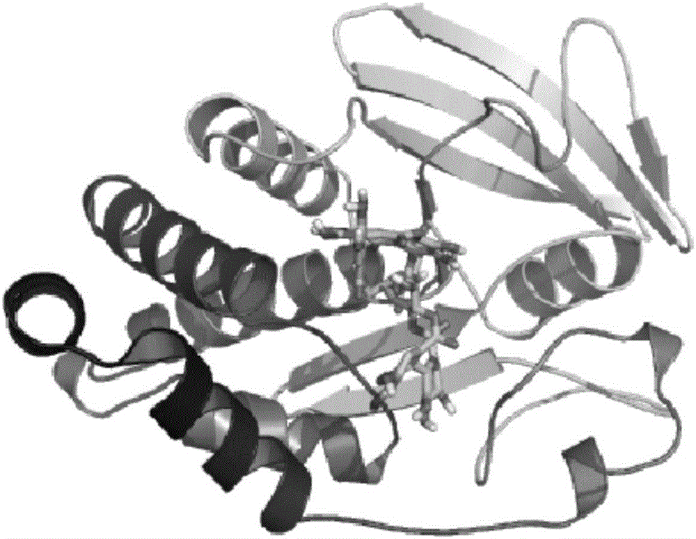 安石榴苷作为PTP1B抑制剂的应用及医药用途的制作方法与工艺
