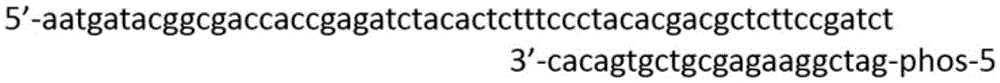 用于開(kāi)發(fā)遺傳標(biāo)記的成套試劑和高通量測(cè)序開(kāi)發(fā)遺傳標(biāo)記的方法與流程