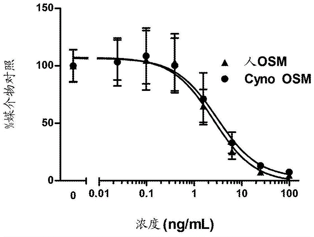 人制瘤素M抗体及使用方法与流程