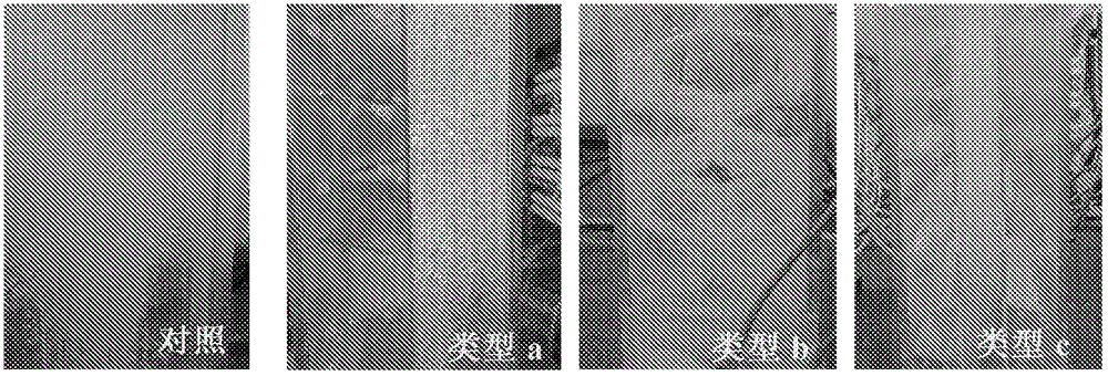 一種基于強(qiáng)化光照方向混合的新型內(nèi)部構(gòu)件及光生物反應(yīng)器的制作方法與工藝