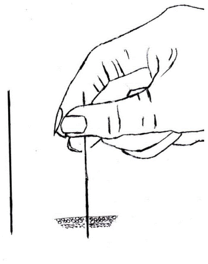 藥針的制作方法與工藝