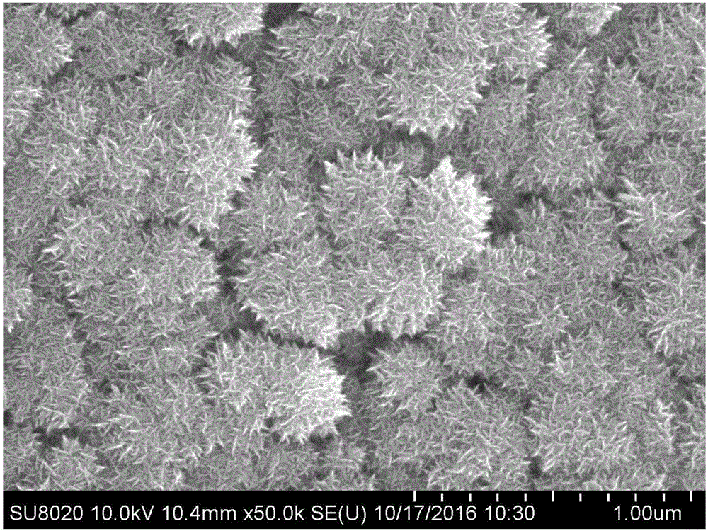 一种锂电用二氧化钛纳米管阵列固载球状二硫化钼负极材料的制备方法与流程