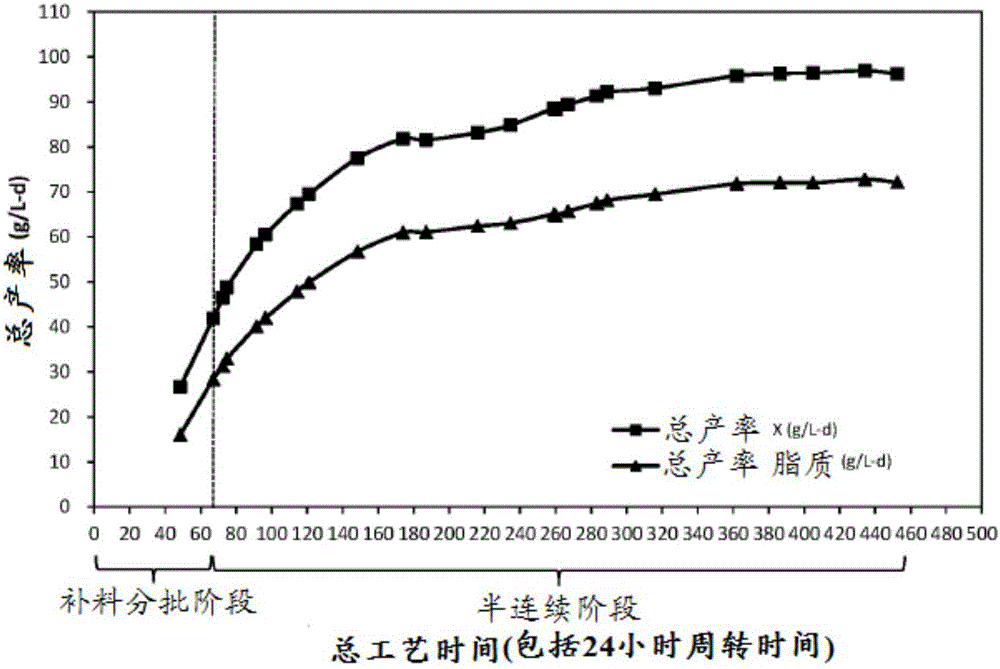 半連續(xù)培養(yǎng)方法與流程