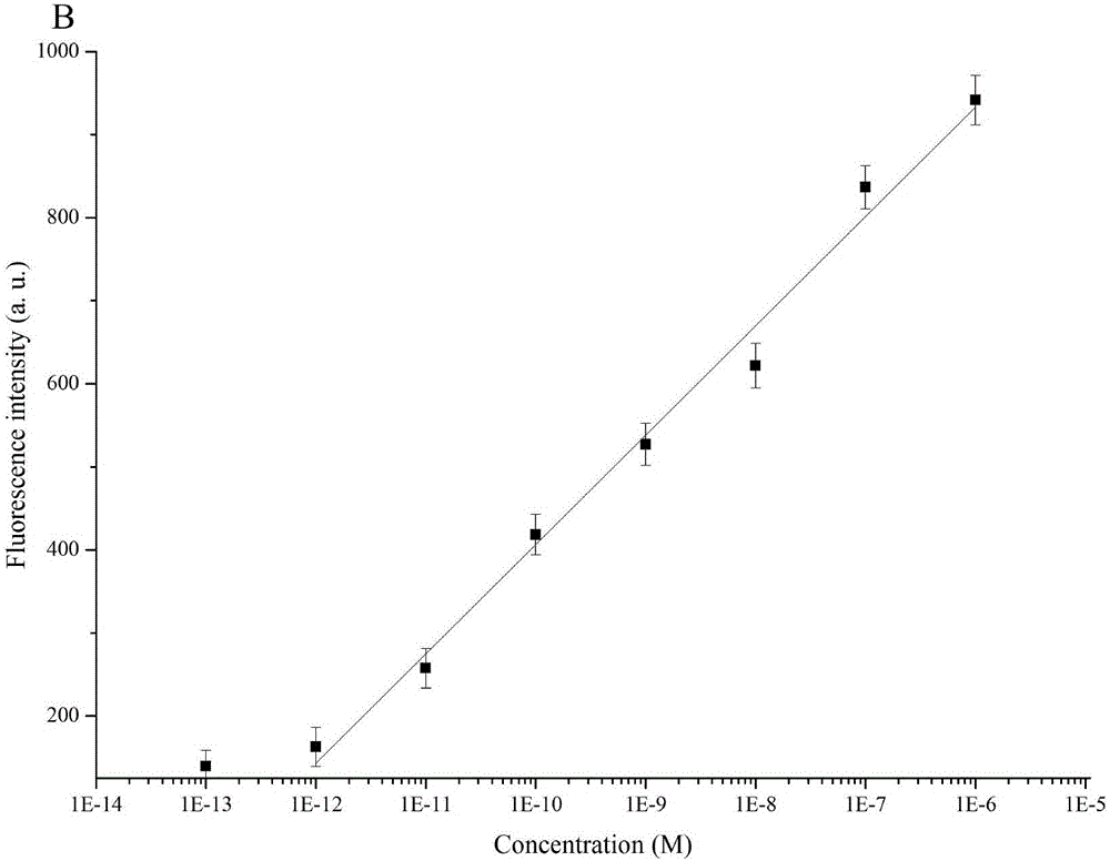 一種microRNA?208b的快速檢測(cè)方法與流程