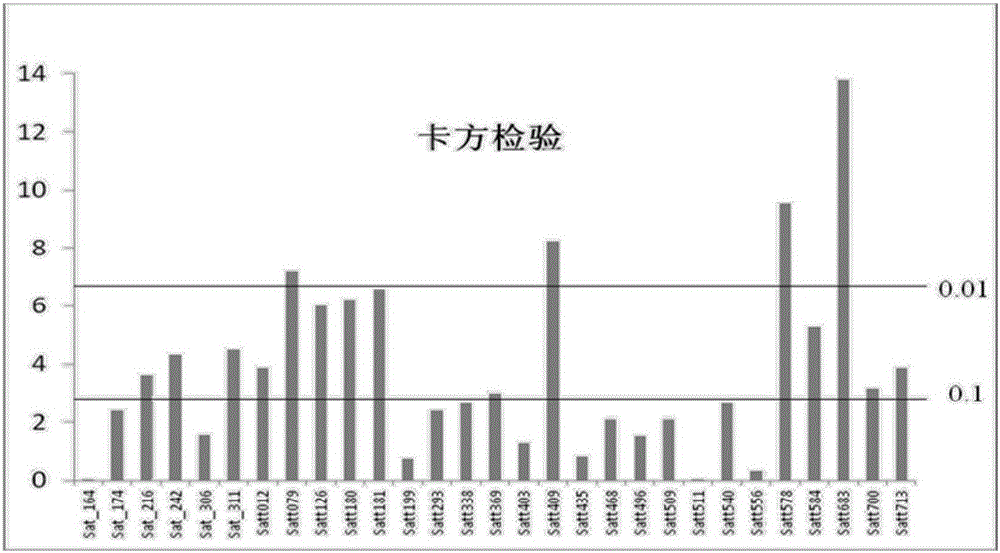 与大豆蛋白质含量相关的QTL及分子标记的获得方法、分子标记和应用与流程