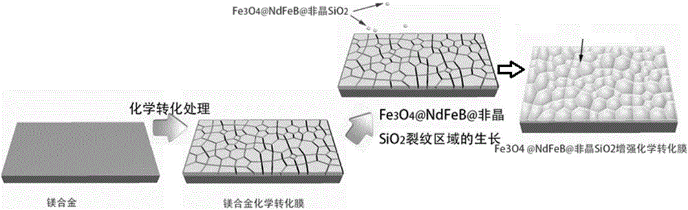 一種鎂合金增強(qiáng)化學(xué)轉(zhuǎn)化膜的制備方法與流程