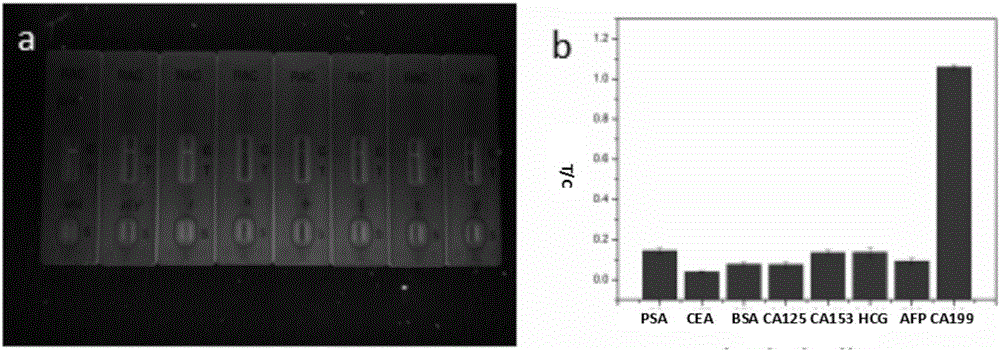 一種基于量子點(diǎn)的CA199免疫層析試紙條的制備方法與流程
