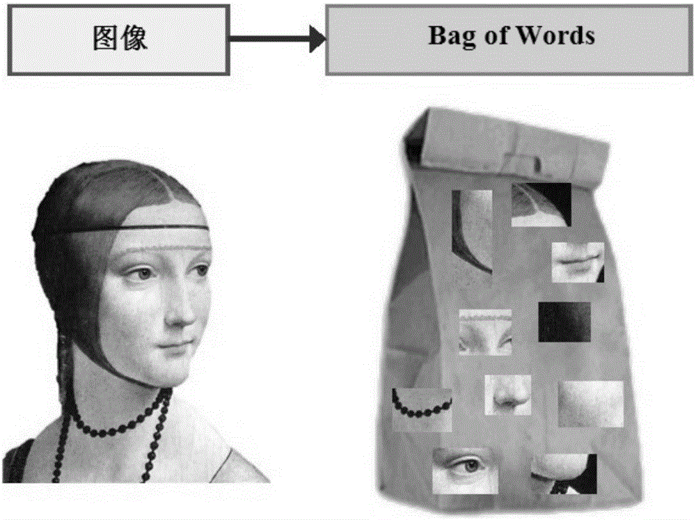 基于语义传播及混合多示例学习的Web图像检索方法与流程