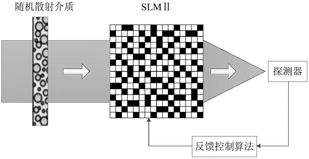 基于隨機散射介質(zhì)的可控亞波長無掩模光刻系統(tǒng)和方法與流程