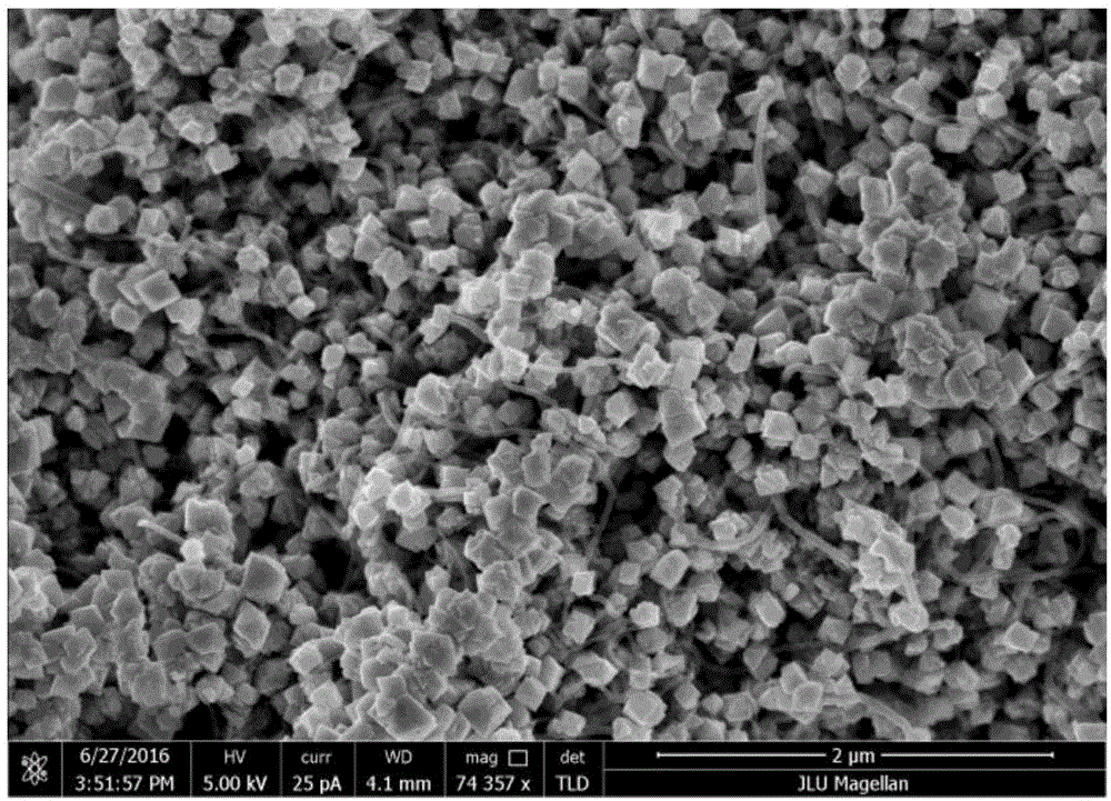 一种碳纳米管复合纳米二氧化铈电极材料的制备方法与流程