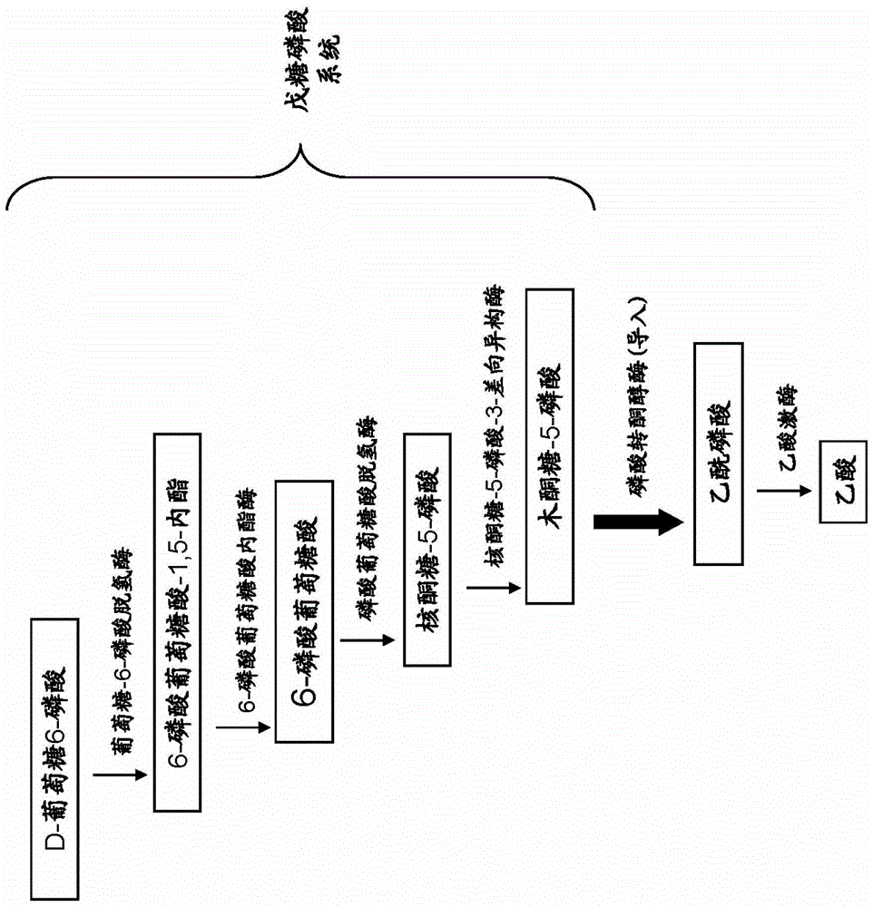 重组酵母和使用该重组酵母的物质生产方法与流程