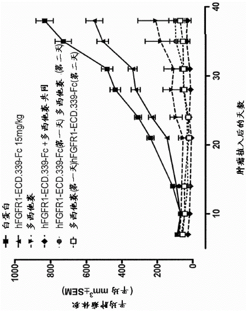 FGFR1胞外域組合療法的制作方法與工藝