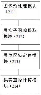 一種植物果實(shí)微尺寸變化視覺(jué)檢測(cè)系統(tǒng)及方法與流程