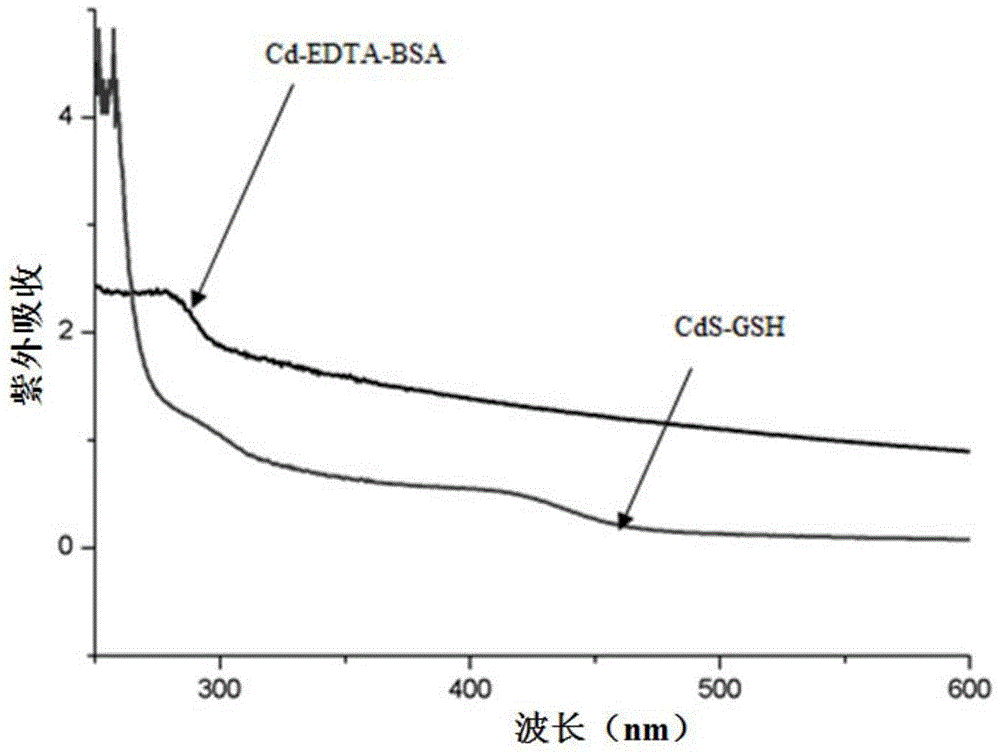 一種檢測(cè)H2S/S2?的試紙條及檢測(cè)H2S/S2?的方法與流程