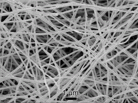利用靜電紡絲技術(shù)制備納米錫/碳復(fù)合納米纖維的方法與流程