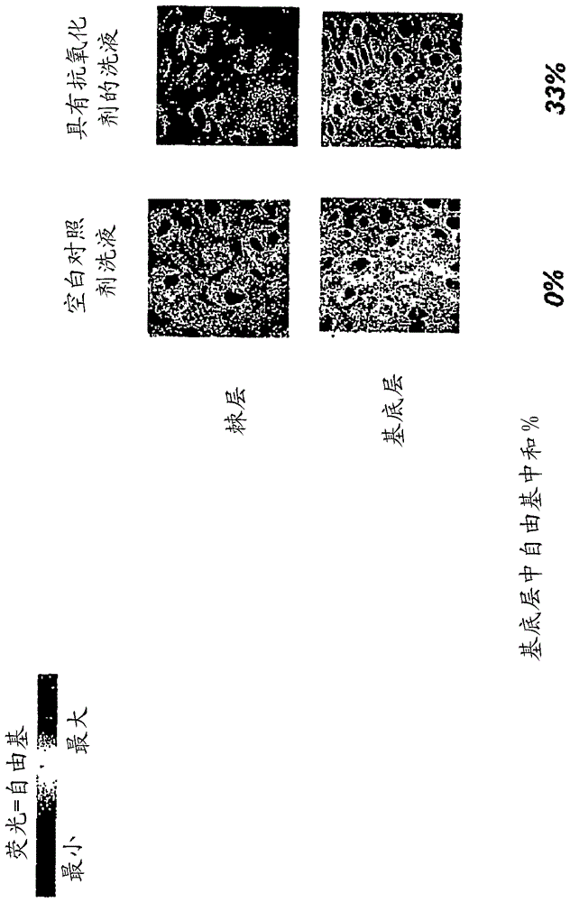 選擇用于局部施用組合物的抗氧化劑的方法與流程