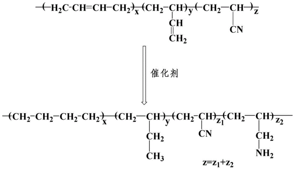 一种亲水性氨基化氢化丁腈橡胶的制备方法及所得产物与流程