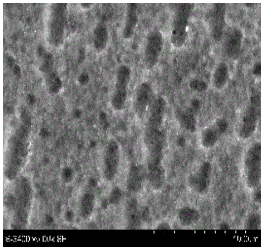 氧化钛纳米管阵列‑银复合涂层材料的制备方法与流程