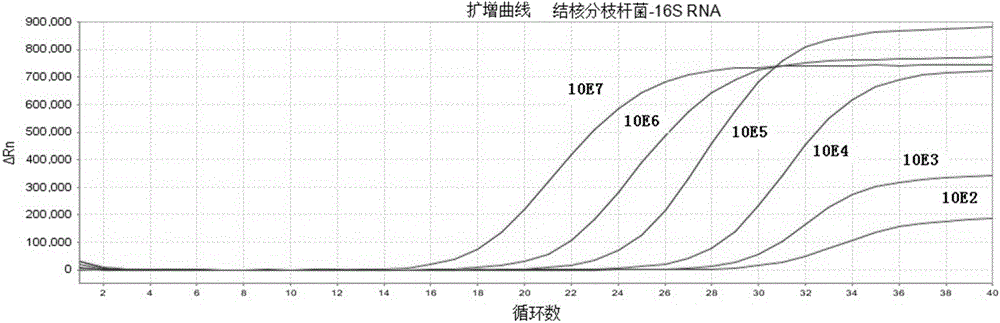 一種結核分枝桿菌RNA/DNA同步定量分析方法與流程