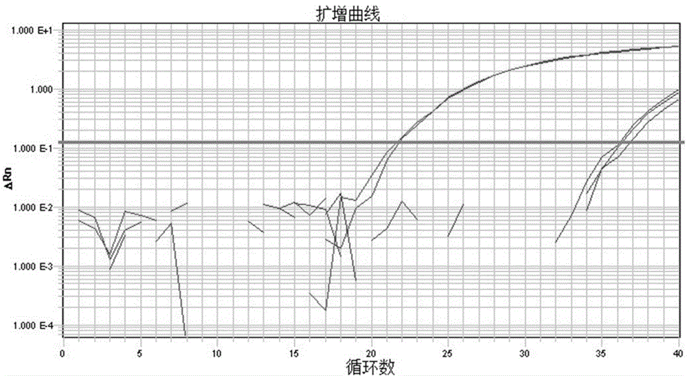 一种结核分枝杆菌RNA/DNA同步定量分析方法与流程