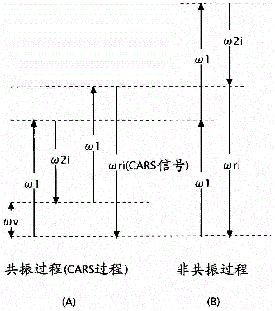 非線性顯微鏡及非線性觀察方法與流程