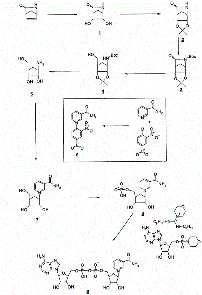 穩(wěn)定的NAD/NADH衍生物的制作方法與工藝