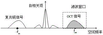 基于移动光栅空间载频谱域OCT全量程成像方法与流程