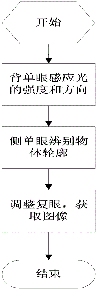 信息采集裝置和方法以及身份識別系統(tǒng)和方法與流程