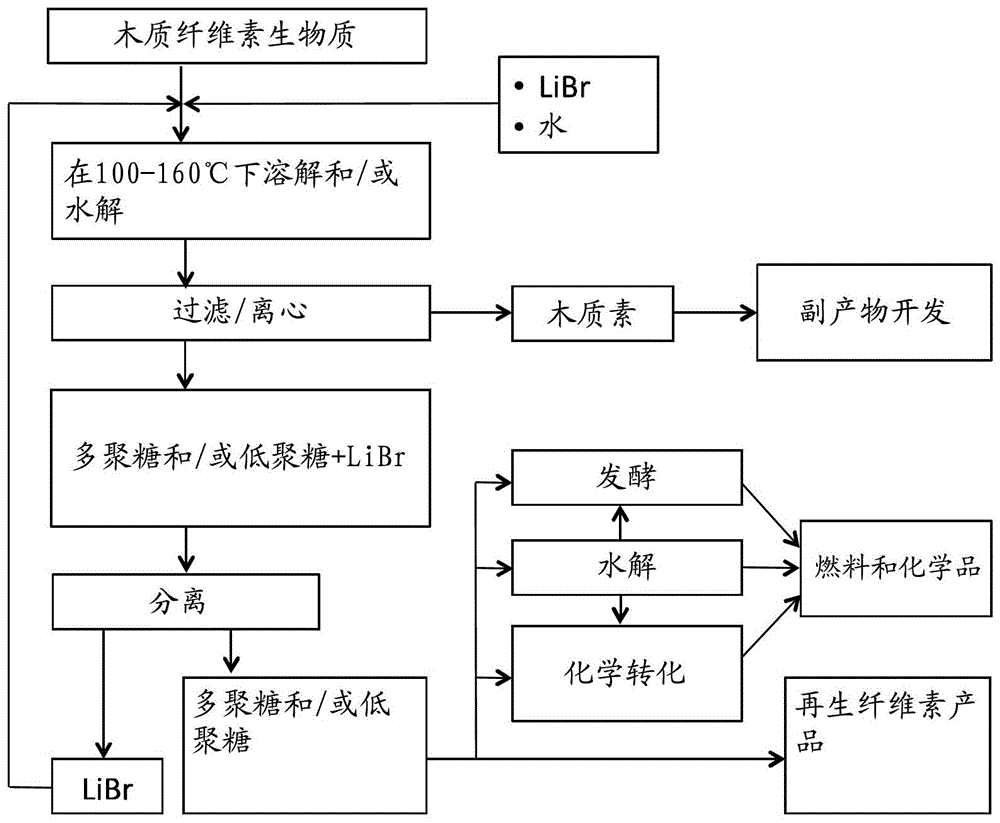 木质纤维素生物质的糖化的制作方法与工艺