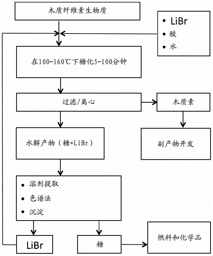 木質(zhì)纖維素生物質(zhì)的糖化的制作方法與工藝