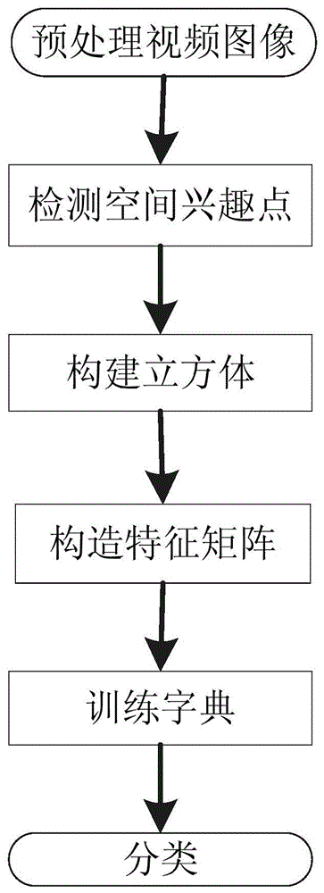 基于非负矩阵分解的人体动作视频识别方法与流程